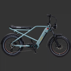 Grateful Dead Valen Rev+ Fat Tire Electric Bike