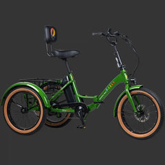 Grateful Dead Boca Rev Electric Tricycle