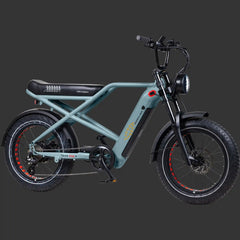 Grateful Dead Valen Rev+ Fat Tire Electric Bike