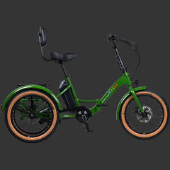 Grateful Dead Boca Rev Electric Tricycle